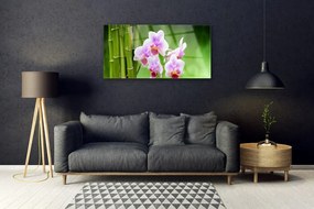 Obraz plexi Bambus orchidea kvety zen 100x50 cm