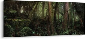 Obraz - Tajomný les (120x50 cm)