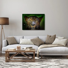Sklenený obraz - Portrét leoparda, Sri Lanka (70x50 cm)