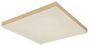 Globo 41594D2M - LED Stmievateľné stropné svietidlo DORO LED/24W/230V zlatá + DO