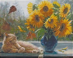 Weltbild Diamantová maľba Mačka a slnečnica