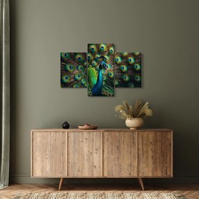 Obraz – Páv (90x60 cm)