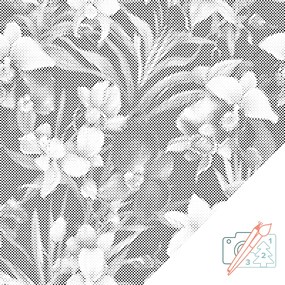 Gario Bodkovanie Kvetinové pozadie orchidea Rozmery: 50 x 50 cm, Rámovanie: Iba zrolované plátno, Farba bodiek: Zelená