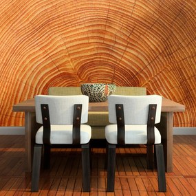 Sablio Tapeta Drevo 2 - 208x125 cm