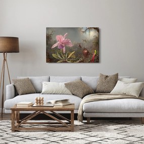 Obraz - Martin Johnson Heade, Cattleya Orchid and Three Hummingbirds, reprodukcia (90x60 cm)