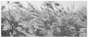 Obraz - Tráva vo vetre (120x50 cm)