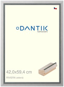 DANTIK rám na obraz 42x59,4 | RIVIERA zelená (Plexi Čiré)