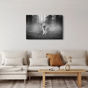 Obraz - Strážca lesa, čiernobiely (90x60 cm)