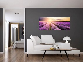 Obraz - Východ slnka v levanduľovom poli (120x50 cm)