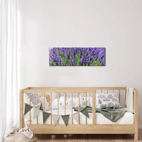 Obraz - levanduľa (s hodinami) (90x30 cm)