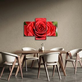Obraz kvetu ruže (90x60 cm)