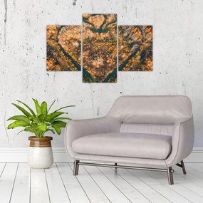 Obraz - Rieka v tvare srdca (90x60 cm)