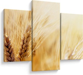 Obraz - detail obilia (90x60 cm)