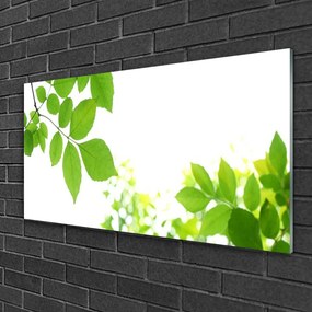 Skleneny obraz Plátky rastlina príroda 120x60 cm