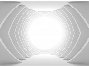 3D tapeta na stenu White tunnel
