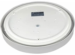 LED Stropné svietidlo SAMER LED/24W/230V 4000K