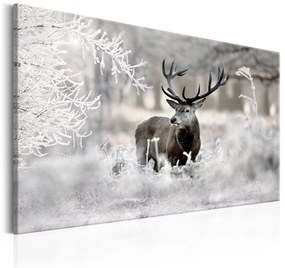 Artgeist Obraz - Lonely Deer Veľkosť: 90x60, Verzia: Na talianskom plátne
