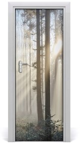 Fototapeta na dvere hmla v lese 95x205 cm