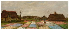 Obraz - Vincent van Gogh, Flower Beds in Holland, reprodukcia (120x50 cm)