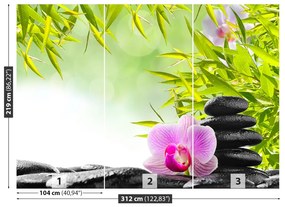 Fototapeta Vliesová Bambus a orchidea 208x146 cm