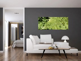 Obraz - Papradinový list (120x50 cm)