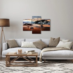 Obraz - Národný park Serengeti, Tanzánia, Afrika (90x60 cm)