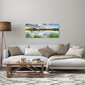 Obraz jazera s tŕstím (120x50 cm)