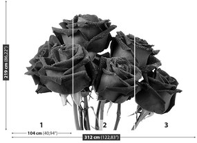 Fototapeta Vliesová Čierne ruže 208x146 cm
