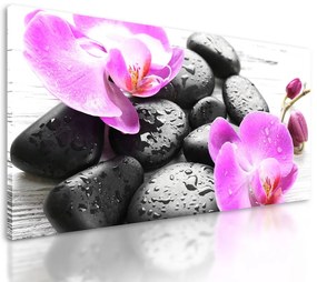 Obraz wellness kamene a orchidea po daždi