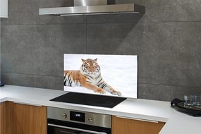 Nástenný panel  Tiger winter 120x60 cm