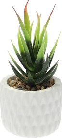 Dekorácie Sansevieria 12cm