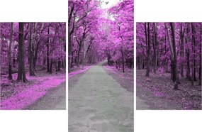 Obraz - Cesta parkom (90x60 cm)