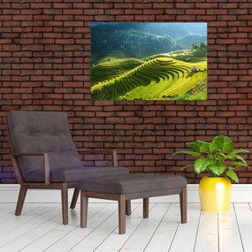 Obraz - Koncert ryžových terás (90x60 cm)