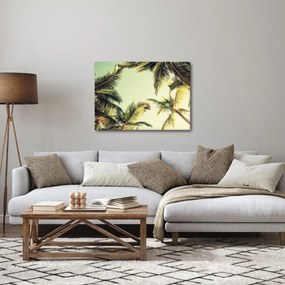 Obraz s kokosovými palmami (70x50 cm)