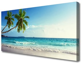 Obraz Canvas More pláž palma krajina 120x60 cm