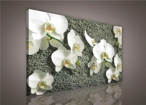 Obraz na stenu biela orchidea na kameni 100 x 75 cm