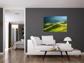 Obraz - Koncert ryžových terás (90x60 cm)