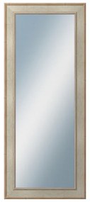 DANTIK - Zrkadlo v rámu, rozmer s rámom 50x120 cm z lišty TOOTH strieborná (2779)
