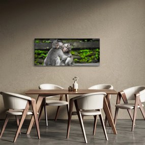 Obraz - opičky (120x50 cm)