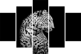Obraz - Leopard (150x105 cm)