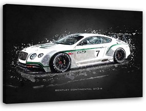 Gario Obraz na plátne Bentley continental gt3r - Gab Fernando Rozmery: 60 x 40 cm