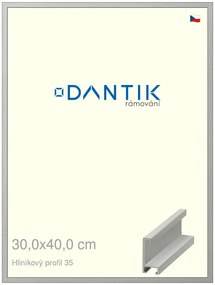 DANTIK rám na obraz 30x40 | ALU Dýha barevná šedá (Plexi Čiré)