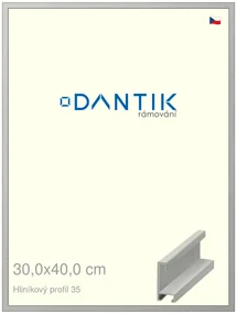DANTIK rám na obraz 30x40 | ALU Dýha barevná šedá (Plexi Čiré)