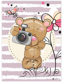 Obraz macka s fotoaparátom