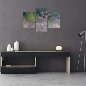 Obraz - Detail traviny (90x60 cm)