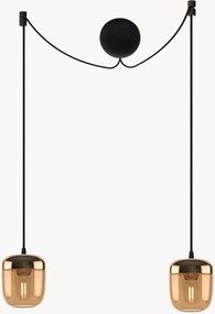 Závesné svietidlo Acorn