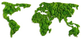 World Map