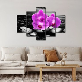 Obraz - Fialové orchidey (150x105 cm)