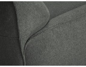 Sivá pohovka Windsor &amp; Co Sofas Neso, 175 cm