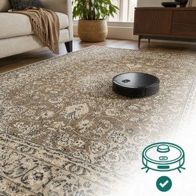Angel Carpet, Kusový koberec Sultan 42 Beige, 160x230, béžová, kancelária